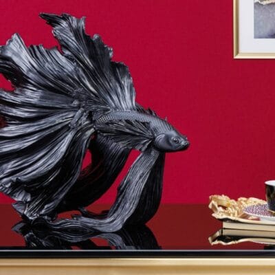 Ozdobná rybka Crowntail 35cm čierna