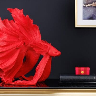 Ozdobná rybka Crowntail 65cm červená