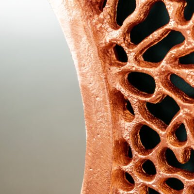 Nástenné zrkadlo Leaf L 110cm medená