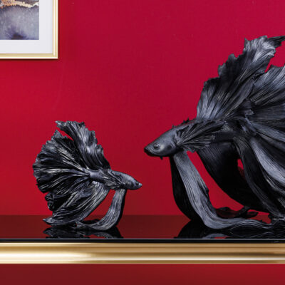 Ozdobná rybka Crowntail 35cm čierna