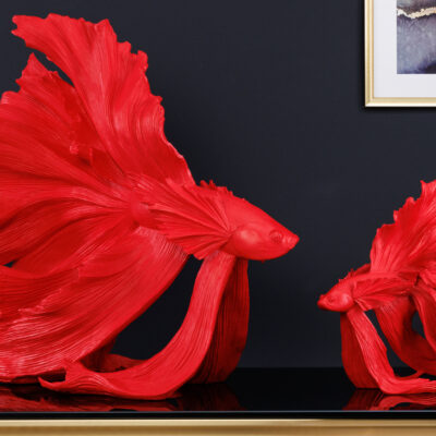 Ozdobná rybka Crowntail 65cm červená